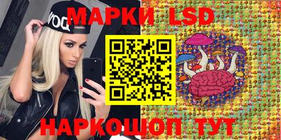 mdpv Аргун