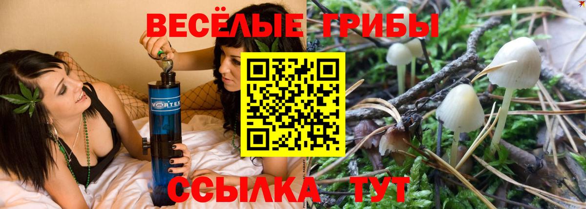 Галлюциногенные грибы Cubensis  Вход с VPN  Ачинск 