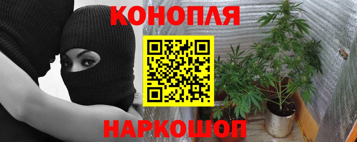 Шишки марихуана MAZAR Ачинск